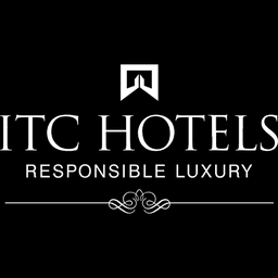 ITC - influencer marketing, influencer marketing on social media and influencer marketing Instagram by Saltbuzz